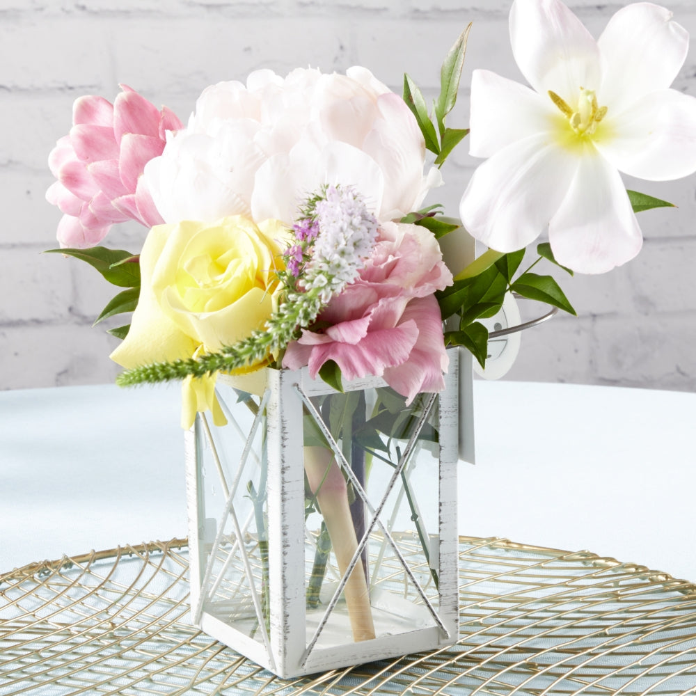 14141dw-3-l.jpg