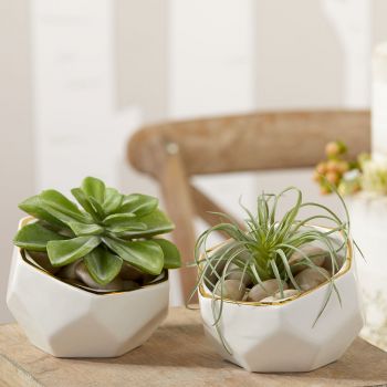 Geometric Ceramic Planter - Small & Medium (Set of 2)